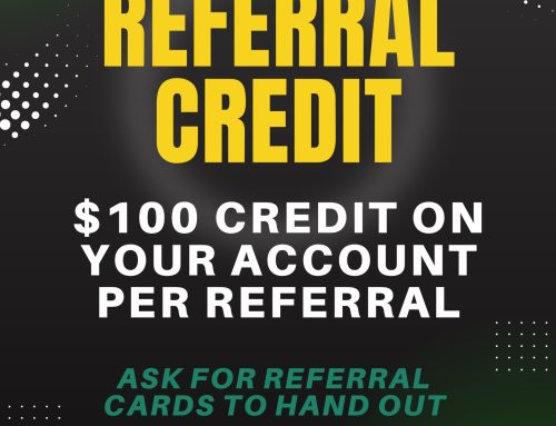 Metro East Mega Storage Referral Program